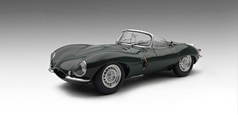 category scale model